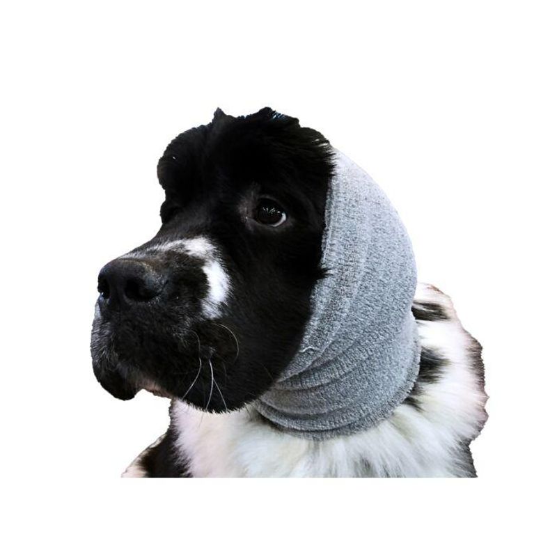 Ear Buddy Grey (Xtra Large) , ShowTech