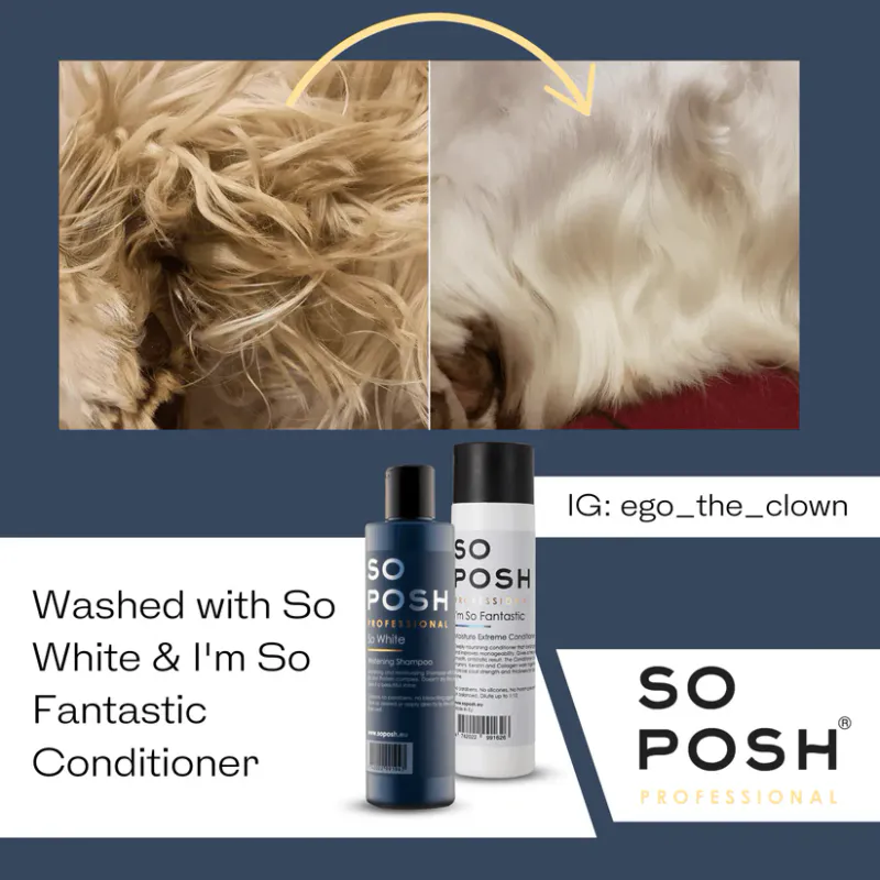 So White whitening 250 ml. shampoo, SoPosh
