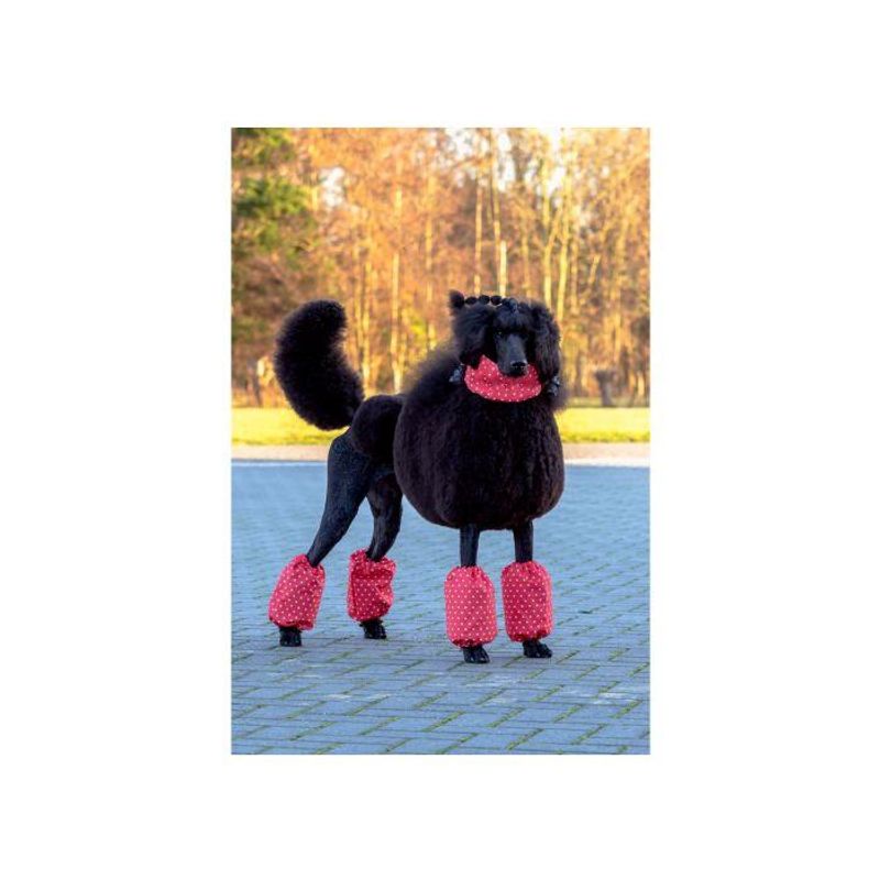 Pom Covers Polka Dots for Standard Poodle, ShowTech